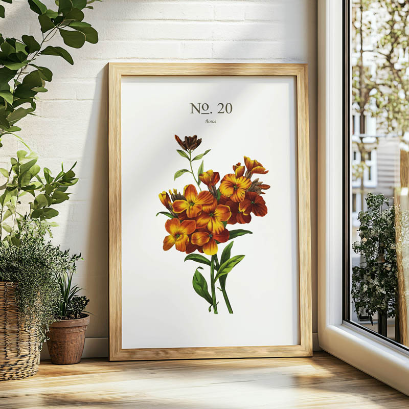 Plakat botaniczny No. 20